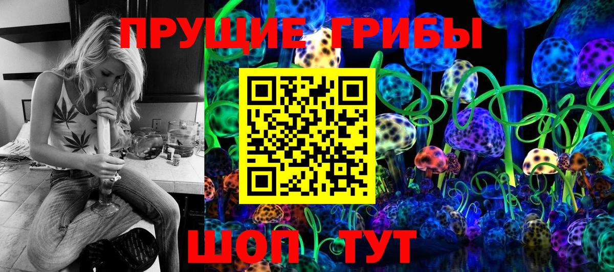 Луховицы  Псилоцибиновые грибы Psilocybe  Вход с VPN  Галлюциногенные грибы Psilocybe 