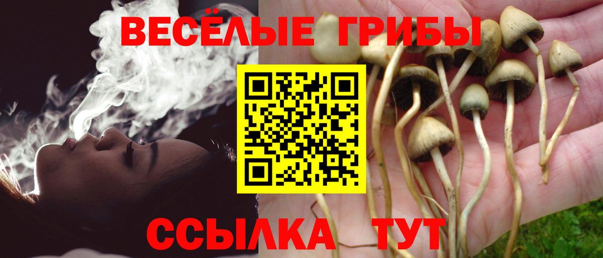 Псилоцибиновые грибы Psilocybine cubensis Луховицы